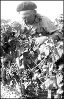 Paul Meynieu,  arri&egrave;re grand-p&egrave;re de Francis Ducos