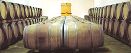 die Weinlager des Ch&acirc;teau LAULAN DUCOS